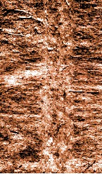 <em>经典</em>释文卷第12礼记音义之二  礼记音义二考证、第13礼记音义之三  礼记音义三考证、第14礼记音义之四  礼记音义四考证