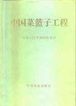中国菜篮子工程