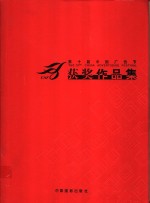 第十届中国广告节获奖作品集  摄影集