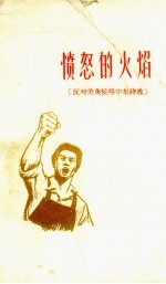 愤怒的火焰  反对美英侵略中东诗选