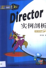 Director实例剖析