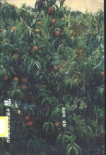 桃艺新探