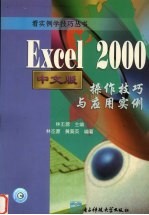 Excel <em>2000</em>中文版操作技巧与应用实例