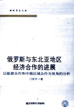 俄罗斯与东北亚地区经济合作的进展  以能源合作和中俄区域合作为视角的分析