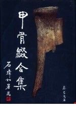 <em>甲骨</em>缀合集
