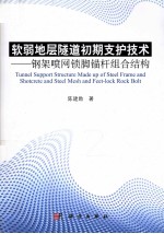 软弱地层隧道初期支护<em>技术</em>  钢架喷网锁脚锚杆组合结构