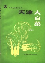 天津大<em>白菜</em>