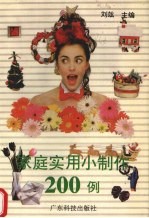 <em>家庭</em><em>实用</em>小制作200例