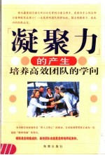 凝聚力的产生  培养高效团队的学问