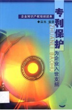 专利<em>保护</em>  为<em>企业</em>入世支招