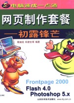 网页制作套餐  初露锋芒
