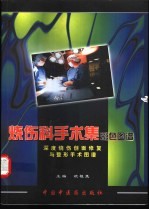 烧伤科手术集彩色图谱  深度烧伤创面与整形手术图谱