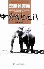 沉重的河南  中原崛起之路