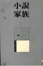 小说家族