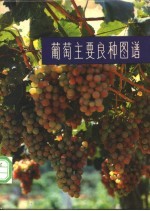 <em>葡萄</em>主要良种图谱
