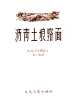 沥青土壤路面