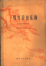 一轮红日出东海