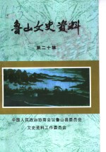 <em>鲁山</em>文史资料  第20辑