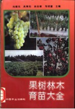 果树<em>林木</em><em>育苗</em>大全