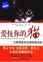 爱抚你的猫  为爱猫量身定做按摩流程