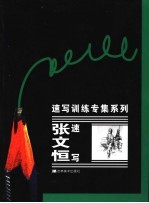 <em>张文</em>恒速写