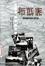 云南民族村寨调查  布依族  罗平鲁布革乡多依村