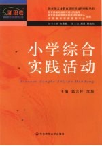 新课程远程研修  小学综合实践活动
