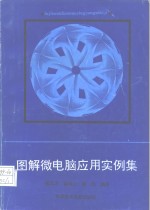 图解微电脑<em>应用</em><em>实例</em>集