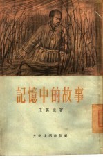 记忆中的故事  短篇小说集