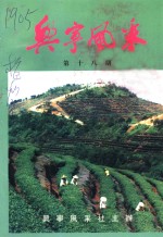 兴宁<em>风采</em>  第18期