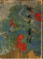 张<em>大千</em>画说