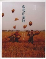 东北庄杂技