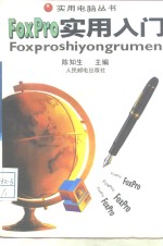 FoxPro实用入门