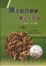 测土配方施肥理论与实践  上  河南十年回顾