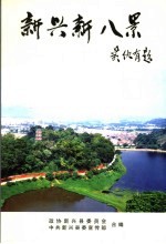 <em>新兴</em>新八景