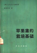 苹果集约栽培基础