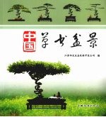 <em>中</em>国草书盆景