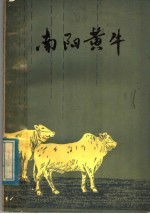 <em>南阳</em>黄牛