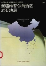 <em><em>新疆</em><em>维吾尔</em><em>自治区</em></em>岩石地层