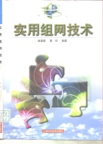 实用组网技术