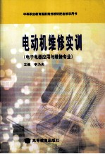 电动机维修实训  <em>电子</em>电器应用与维修专业