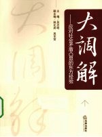 大调解  应对社会矛盾凸显的东方经验