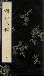 妇科冰鉴  3