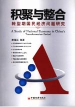 积聚与整合  转型期国民经济问题研究