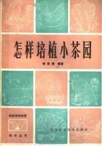 怎样培植小茶园