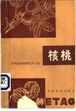 <em>核桃</em>