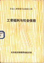工资福利与<em>社会</em>保险