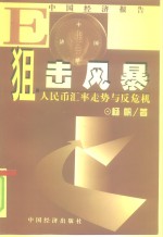 狙击风暴  人民币汇率走势与反危机