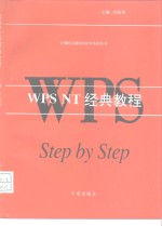 WPS  NT经典教程
