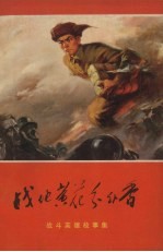 战地黄花分外香  战斗英雄故事集
